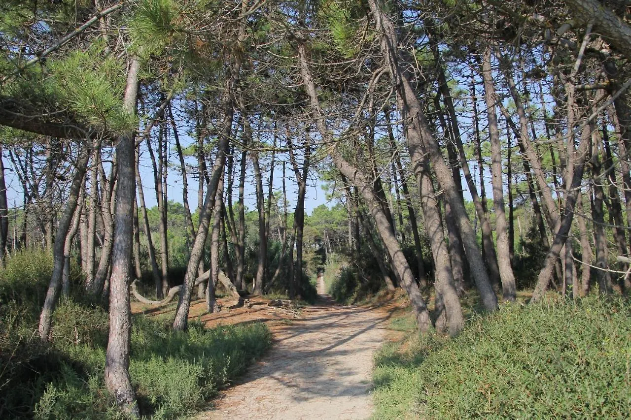 Holiday home Casalborsetti Porto Reno Villa Casal Borsetti